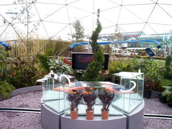 biome-dome