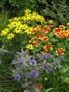 Darren Rudge: Full Garden Design Package Thumbnail 04