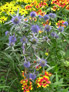 Darren Rudge: Garden Consultancy Thumbnail 01