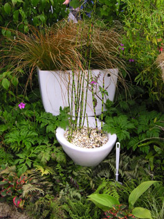 Garden Consultancy 03