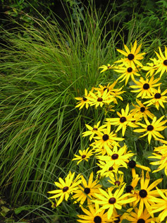 Garden Consultancy 05