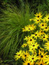 Darren Rudge: Garden Consultancy Thumbnail 05