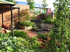 Garden Consultancy 06