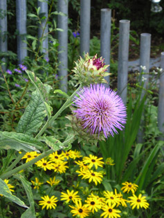 Garden Maintenance Specifications 02