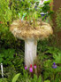 Darren Rudge: Garden Maintenance Specifications Thumbnail 03