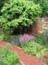 Darren Rudge: Garden Makeover Plans Thumbnail 02