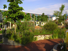 Garden Makeover Plans 03