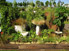 Darren Rudge: Garden Makeover Plans Thumbnail 04