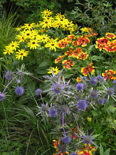 Garden Talks and Lectures 02