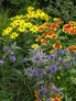 Darren Rudge: Garden Talks and Lectures Thumbnail 02