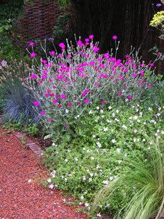 Garden Talks and Lectures 03