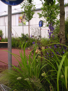 Garden Talks and Lectures 04