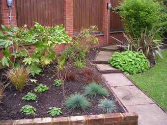 Patio Planting & Re-development: After 02