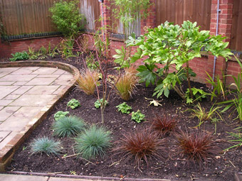 Patio Planting & Re-development: After 03