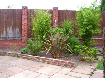 Patio Planting & Re-development : Before 01