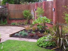 Patio Planting & Redevelopment