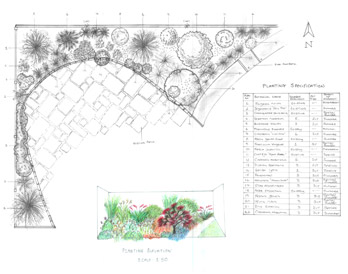 Patio Planting Re-development Drawing
