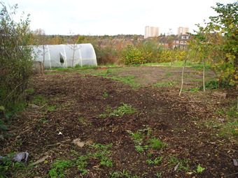 Room to Grow: Before 01