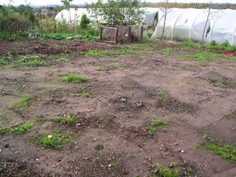 Room to Grow: Before 02