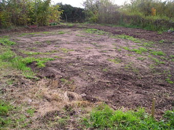 Room to Grow: Before 03