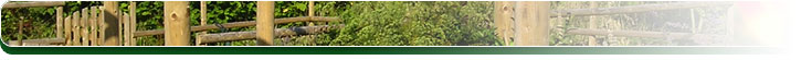 Room to Grow