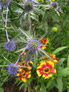 Darren Rudge: Site Survey Thumbnail 01