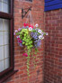 Darren Rudge: Site Survey Thumbnail 02