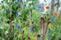 Darren Rudge: Site Survey Thumbnail 06
