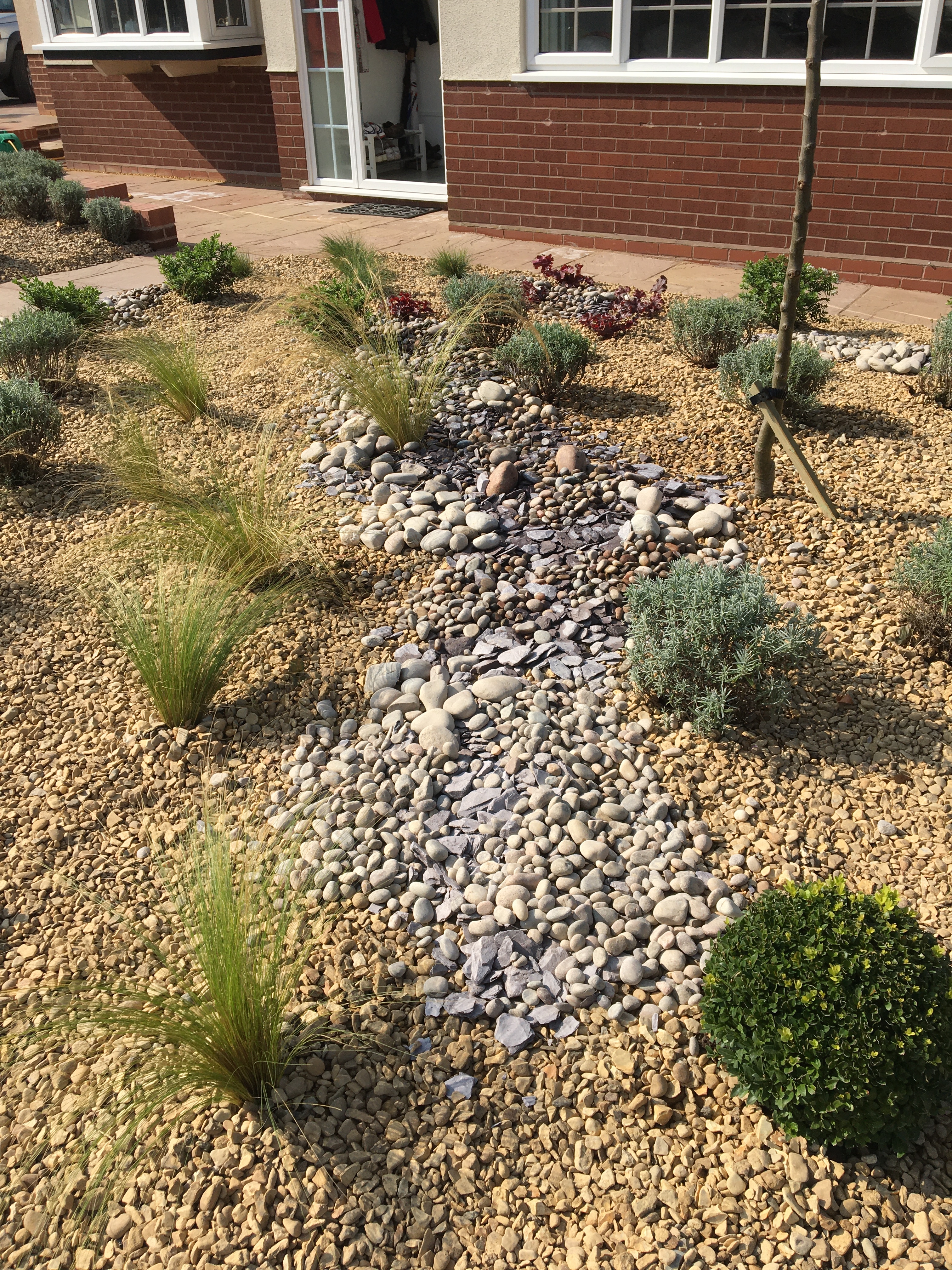 Carol and Alan’s Garden