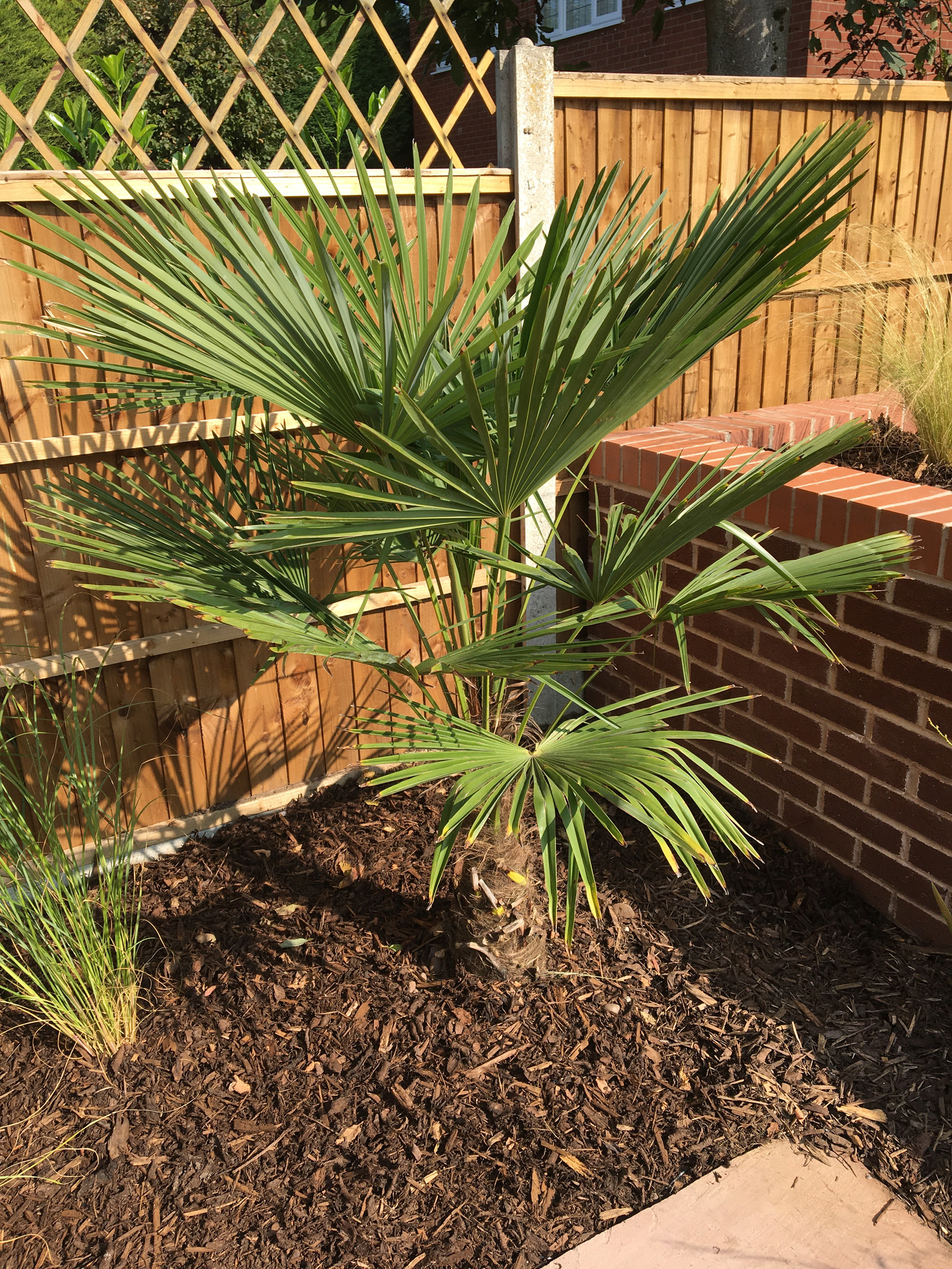 Carol and Alan’s Garden