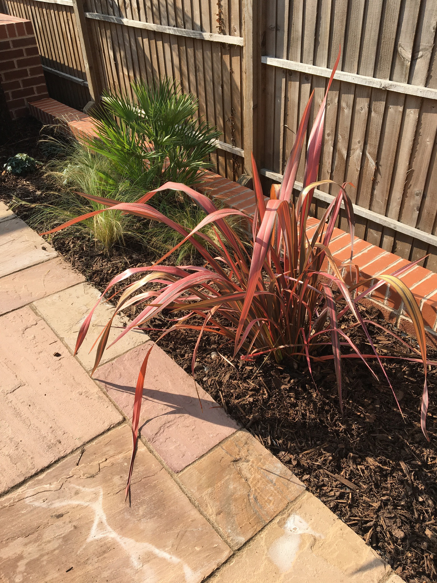 Carol and Alan’s Garden