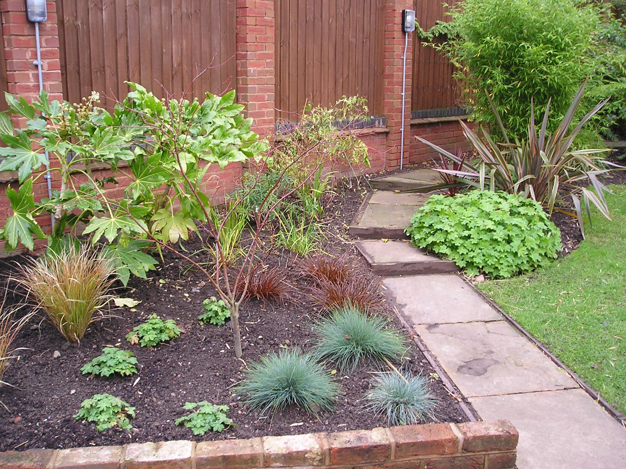 Patio Planting Re-development