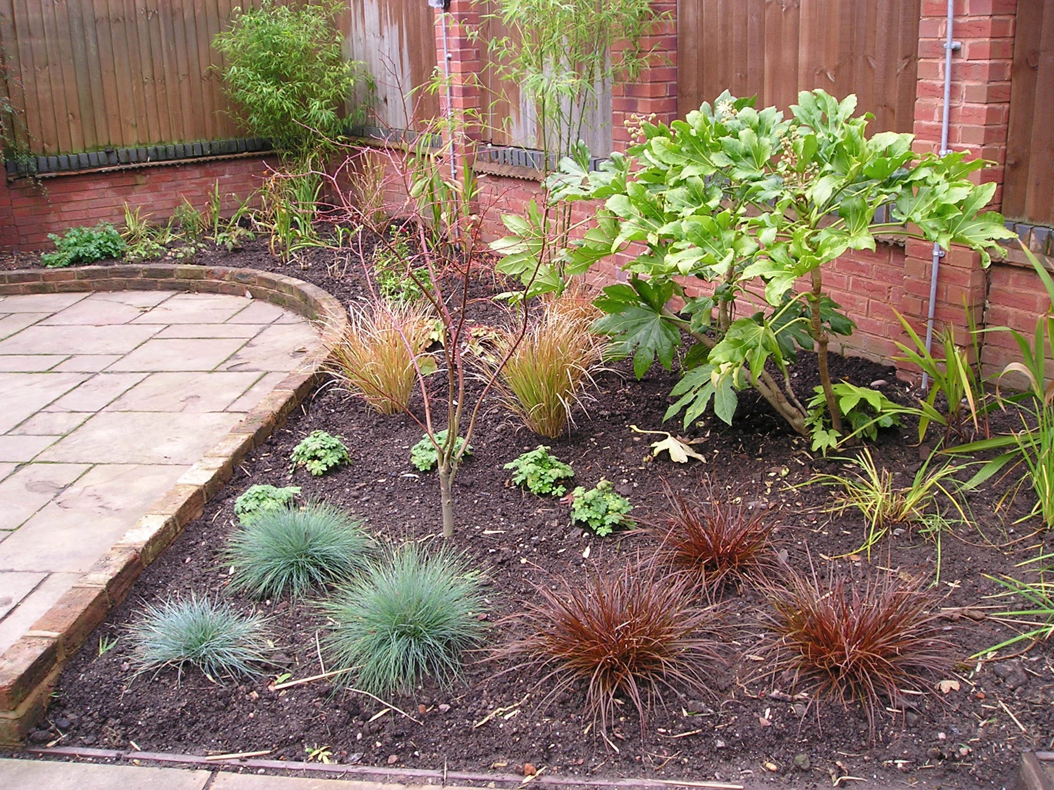 Patio Planting Re-development